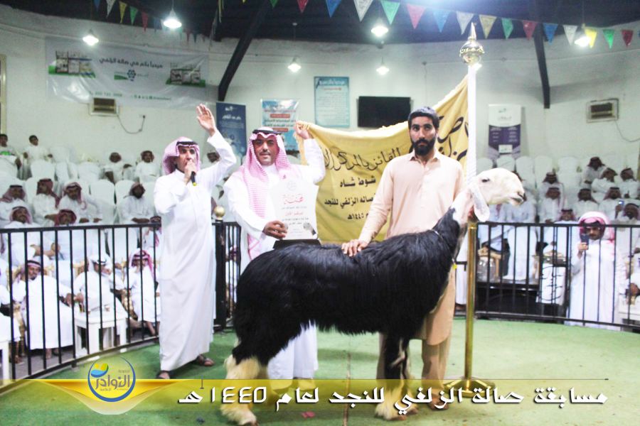 مسابقة صالة الزلفي للنجد